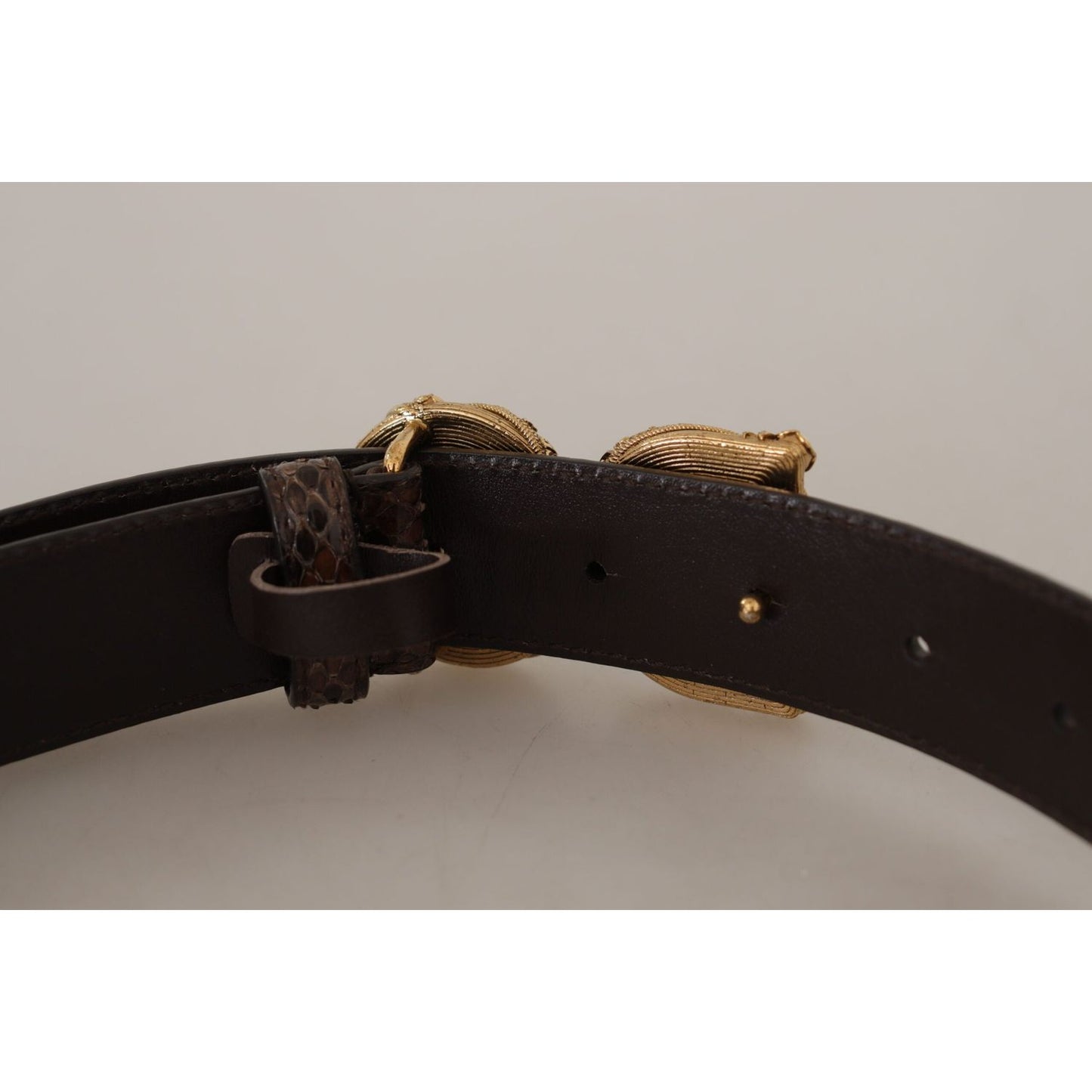 Dolce & Gabbana Elegant Snakeskin Leather Belt Dolce & Gabbana Dark Gray
