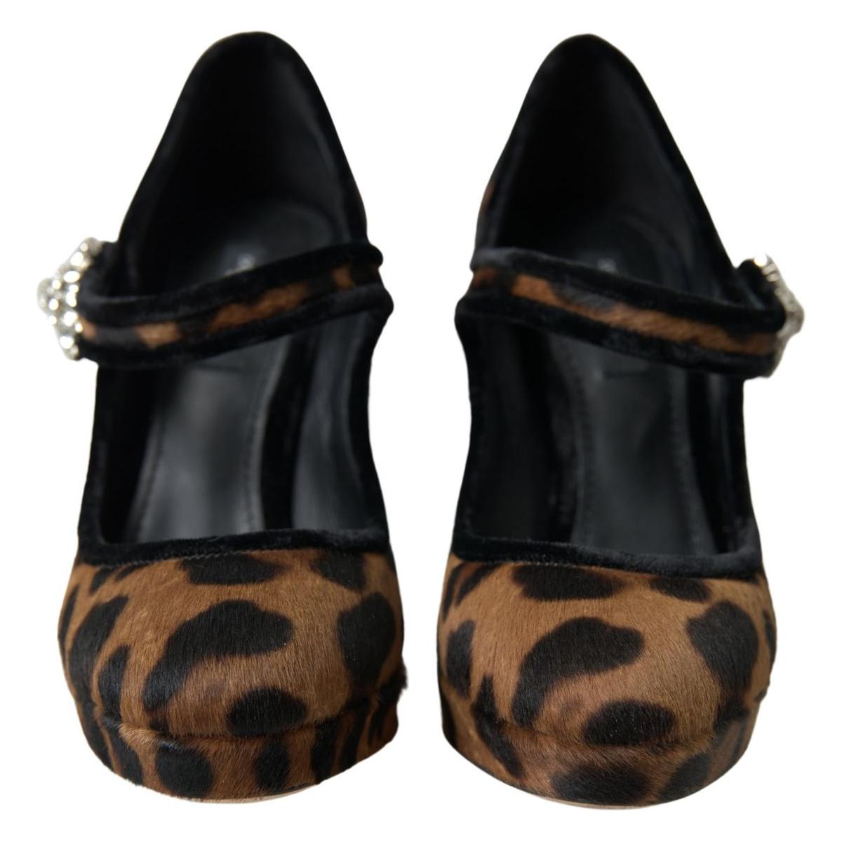 Dolce & Gabbana Elegant Leopard Heel Pumps for Chic Sophistication Dolce & Gabbana Black