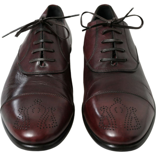 Dolce & Gabbana Bordeaux Leather Men Formal Derby Dress Shoes MV5519-44