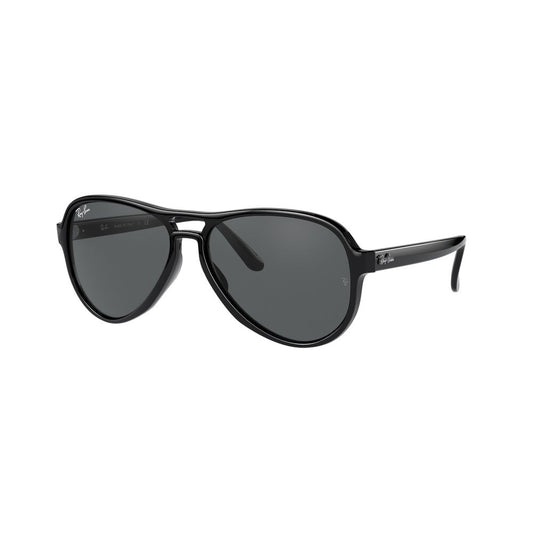 Ray-Ban Black Injected Sunglasses